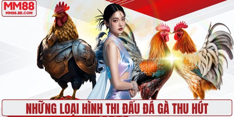 Những loại hình thi đấu đá gà thu hút