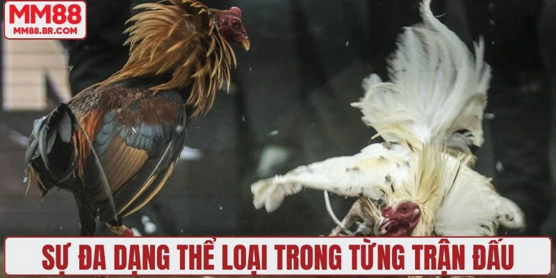 Sự đa dạng thể loại trong từng trận đấu